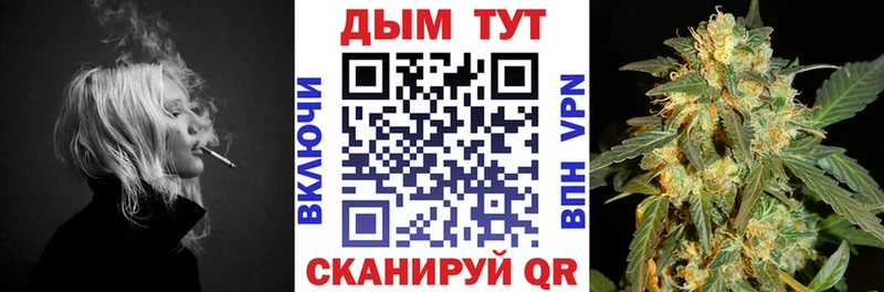 Галлюциногенные грибы Тверь