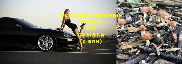 дмт Алзамай