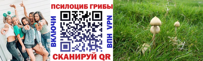 сайты даркнета Telegram  Тверь  Псилоцибиновые грибы Psilocybe  сколько стоит 